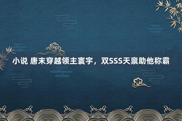 小说 唐末穿越领主寰宇，双SSS天禀助他称霸