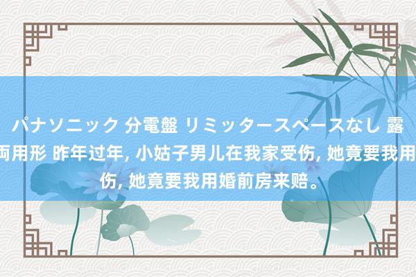 パナソニック 分電盤 リミッタースペースなし 露出・半埋込両用形 昨年过年, 小姑子男儿在我家受伤, 她竟要我用婚前房来赔。
