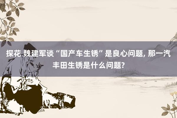 探花 魏建军谈“国产车生锈”是良心问题, 那一汽丰田生锈是什么问题?