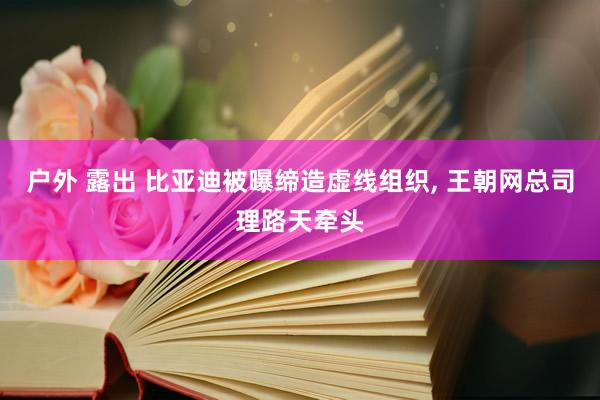 户外 露出 比亚迪被曝缔造虚线组织, 王朝网总司理路天牵头