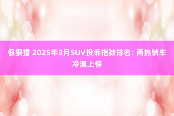 很狠撸 2025年3月SUV投诉指数排名: 两热销车冷漠上榜