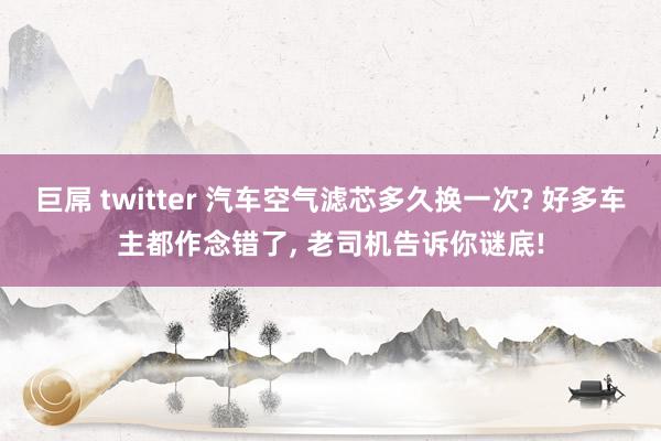 巨屌 twitter 汽车空气滤芯多久换一次? 好多车主都作念错了, 老司机告诉你谜底!