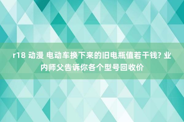 r18 动漫 电动车换下来的旧电瓶值若干钱? 业内师父告诉你各个型号回收价