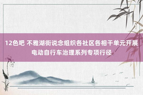 12色吧 不雅湖街说念组织各社区各相干单元开展电动自行车治理系列专项行径