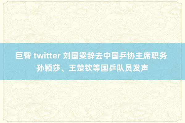 巨臀 twitter 刘国梁辞去中国乒协主席职务 孙颖莎、王楚钦等国乒队员发声