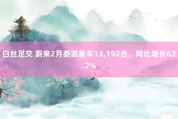 白丝足交 蔚来2月委派新车13,192台，同比增长62.2%