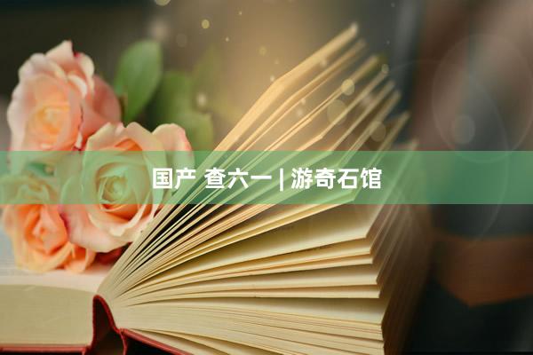 国产 查六一 | 游奇石馆