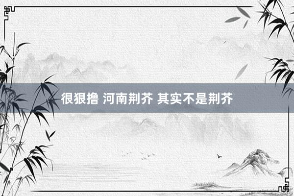 很狠撸 河南荆芥 其实不是荆芥