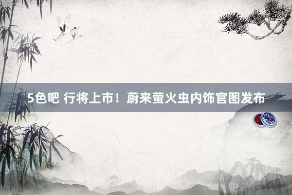 5色吧 行将上市！蔚来萤火虫内饰官图发布