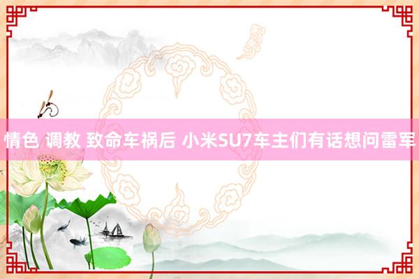 情色 调教 致命车祸后 小米SU7车主们有话想问雷军